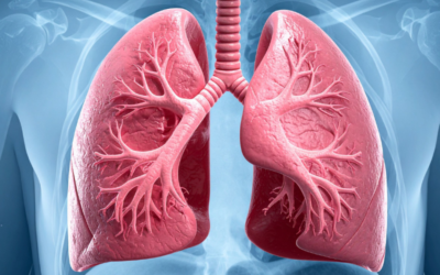 Ejercicios para liberar el diafragma en casa